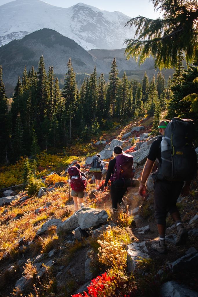 a group of people hiking up a mountain